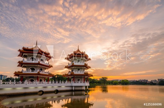 Picture of Twin Pagoda of Chinese Garden